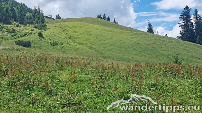 Krinnenalpe-Nesselwängler Edenalpe Abbildung 7