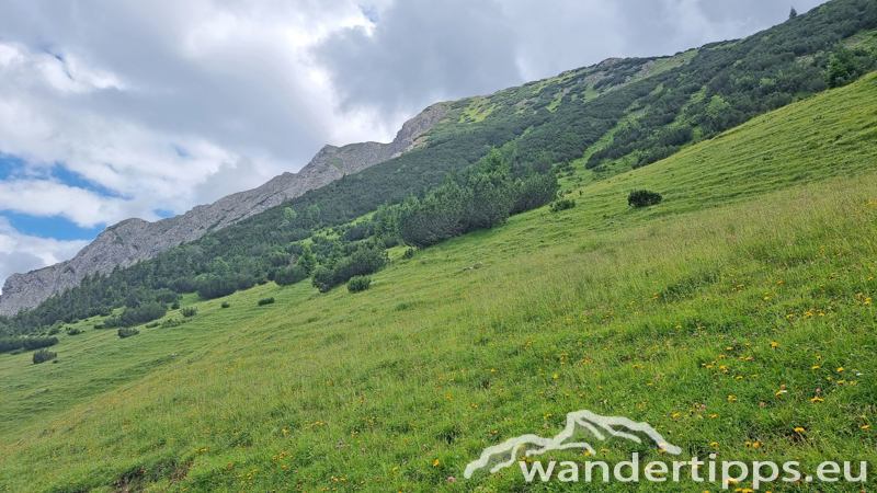 Krinnenalpe-Nesselwängler Edenalpe Abbildung 8