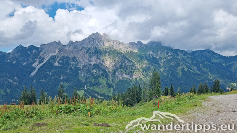 Krinnenalpe-Nesselwängler Edenalpe Abbildung 9