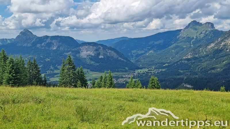 Krinnenalpe-Nesselwängler Edenalpe Abbildung 10