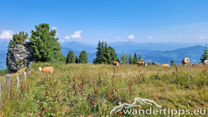 Frauenalpe Abbildung 11