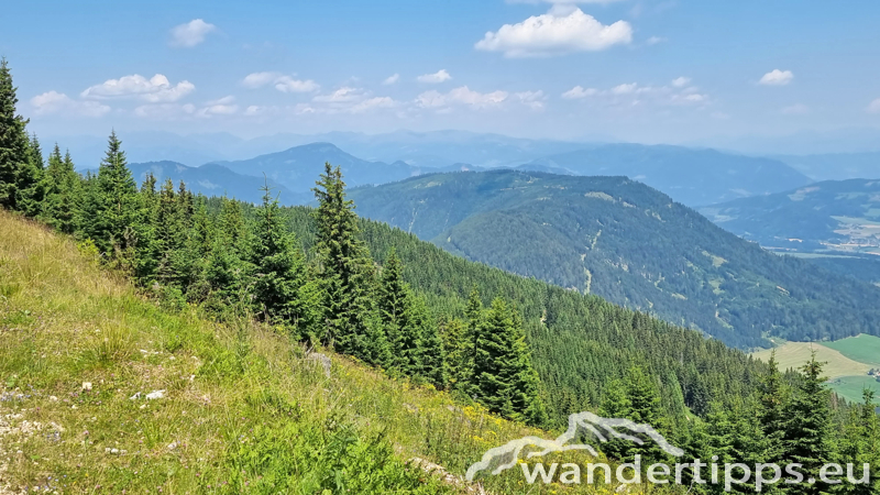 Grebenzen Abbildung 15