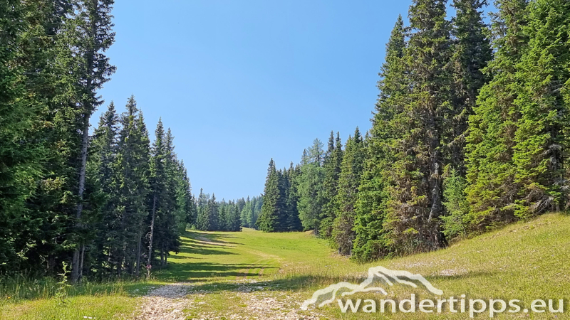 Grebenzen Abbildung 9