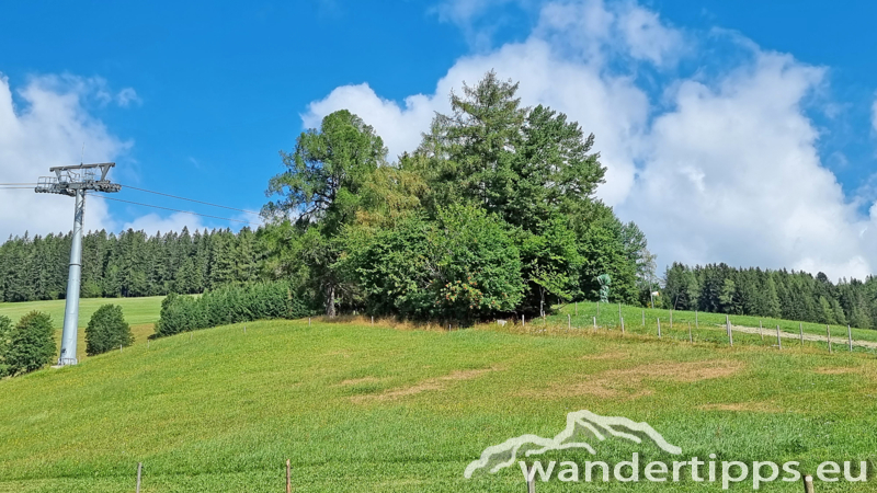 Hauereck/Steinriegel Abbildung 3