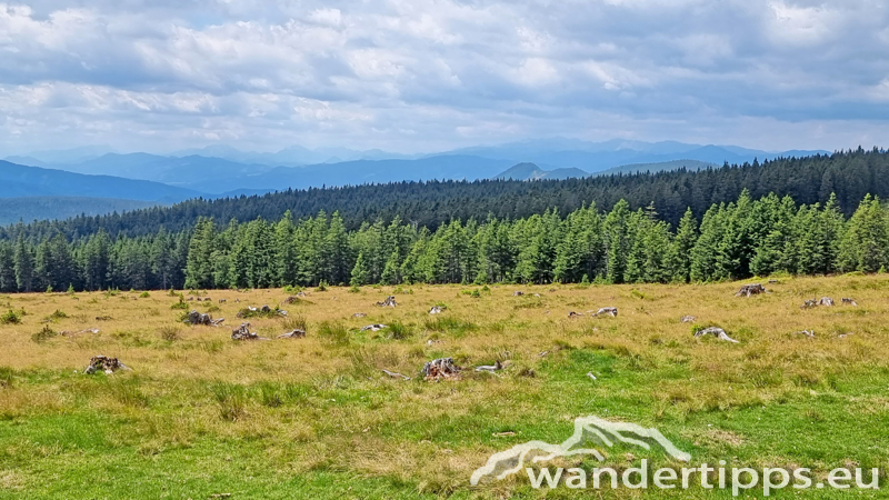 Hauereck/Steinriegel Abbildung 21