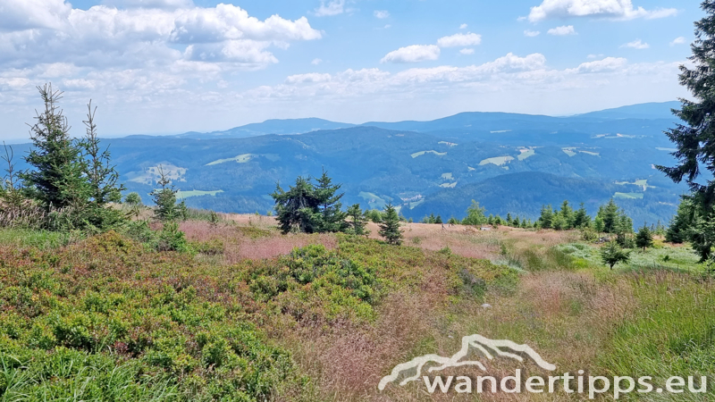 Hauereck/Steinriegel Abbildung 22