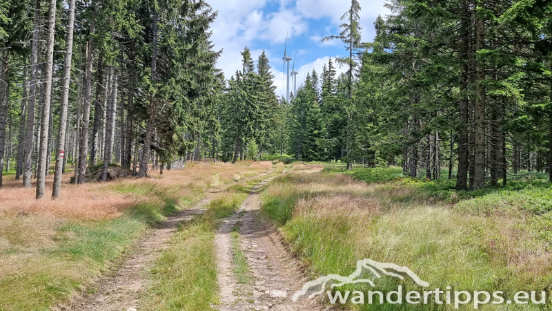 Hauereck/Steinriegel Abbildung 10