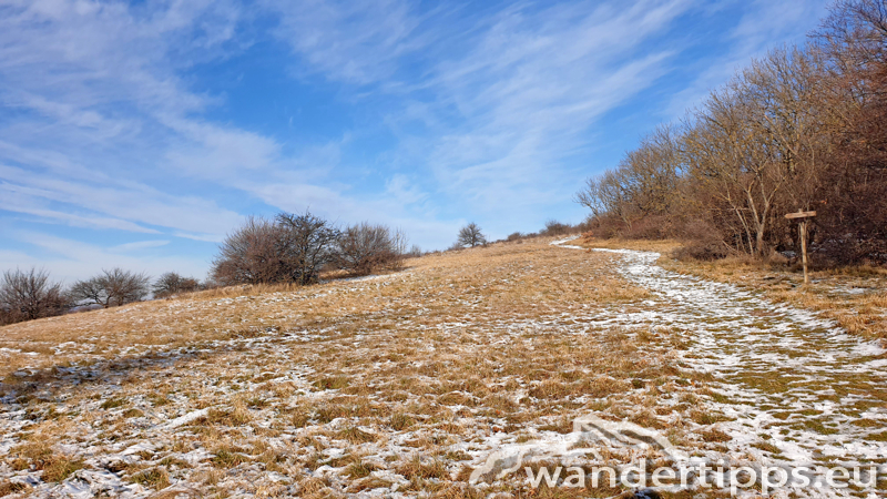 Hundsheimer Berg von Süden Abbildung 11