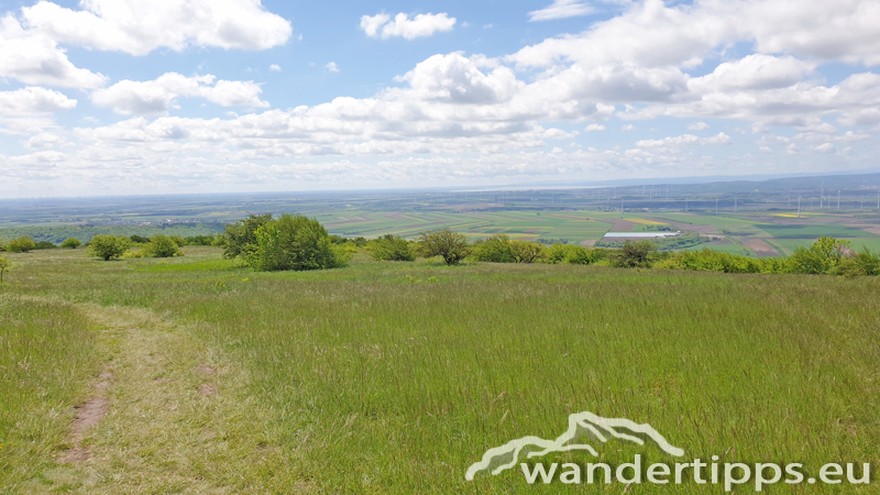 Hundsheimer Berg von Süden Abbildung 14