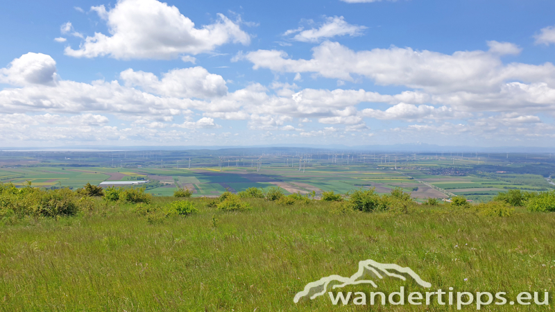 Hundsheimer Berg von Süden Abbildung 15