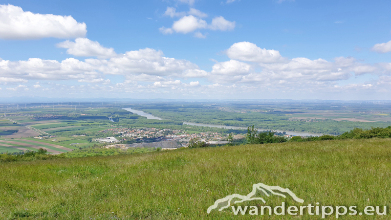 Hundsheimer Berg von Süden Abbildung 16