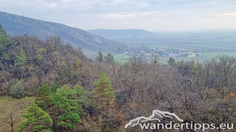 Hundsheimer Berg von Süden Abbildung 19