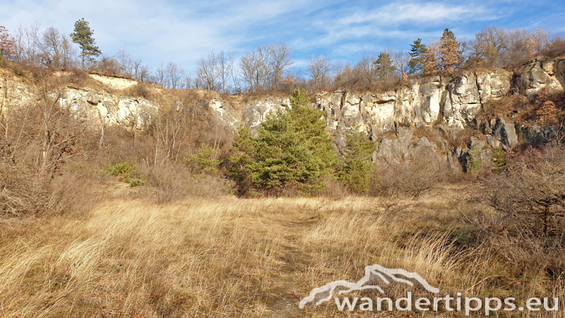 Hundsheimer Berg von Süden Abbildung 20