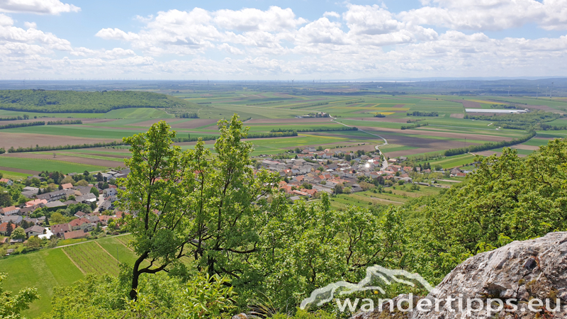 Hundsheimer Berg von Süden Abbildung 8