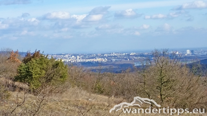 Hundsheimer Berg von Süden Abbildung 10