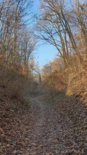 Königswarte Abbildung 4