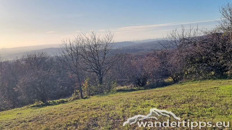 Königswarte Abbildung 12