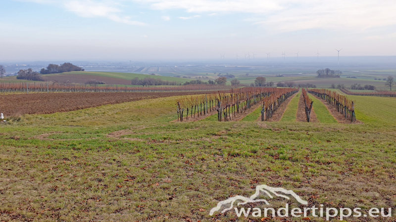 Königswarte Abbildung 13