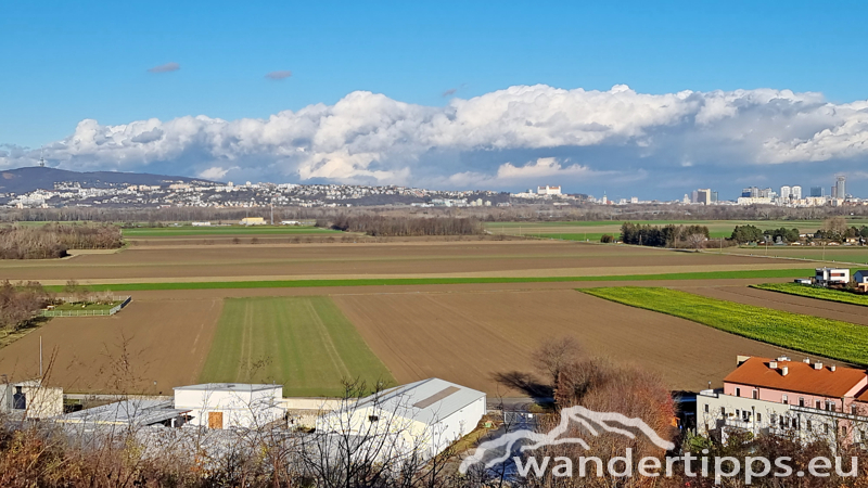 Königswarte Abbildung 15