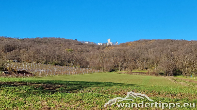 Königswarte Abbildung 3