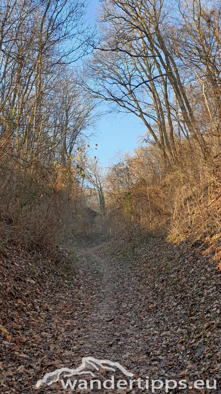 Königswarte Abbildung 4