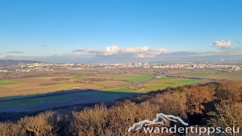 Königswarte Abbildung 8