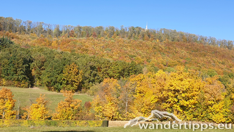 Hermannskogel Abbildung 1