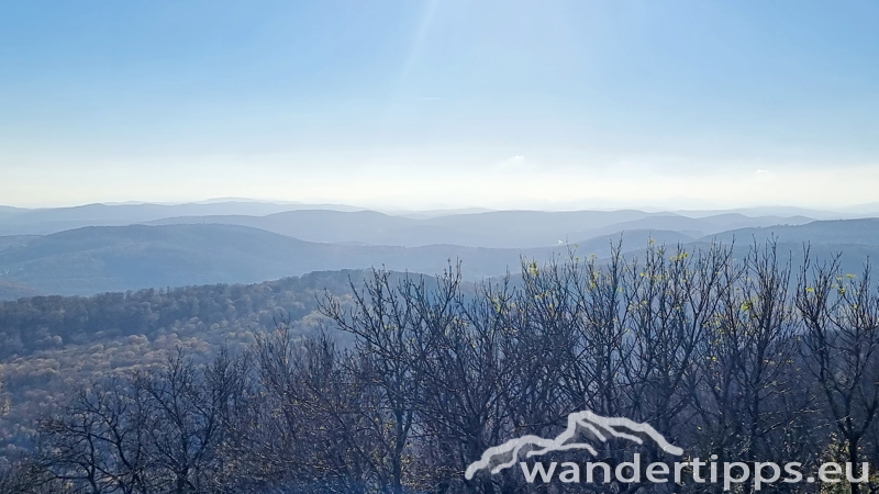 Hermannskogel Abbildung 11