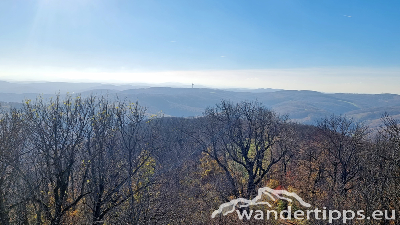 Hermannskogel Abbildung 12
