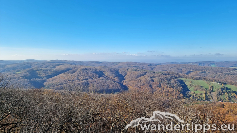 Hermannskogel Abbildung 13