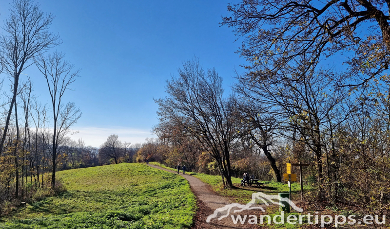 Hermannskogel Abbildung 15