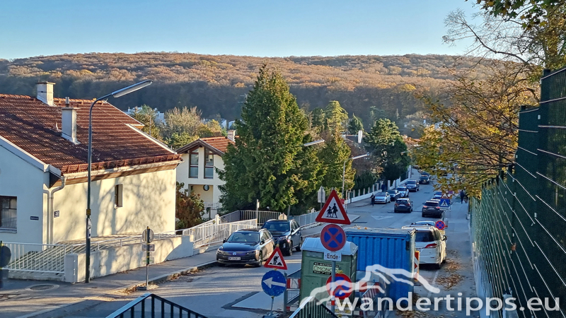 Hermannskogel Abbildung 20