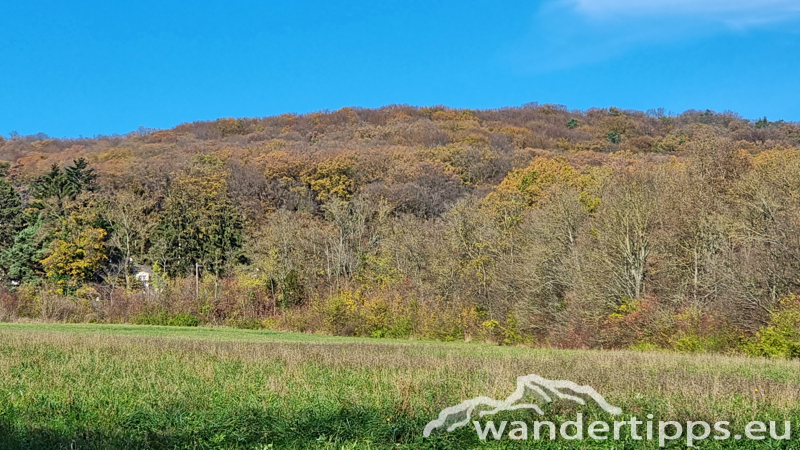 Hermannskogel Abbildung 3