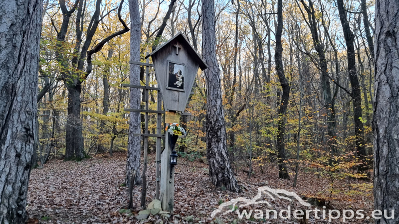Hermannskogel Abbildung 21