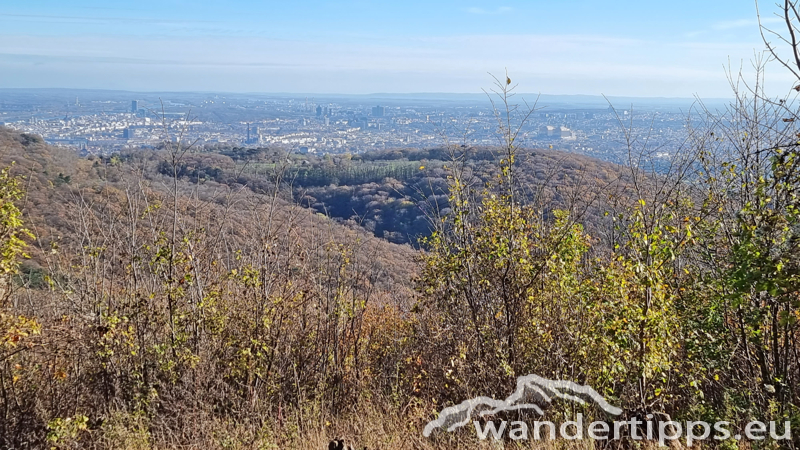 Hermannskogel Abbildung 8