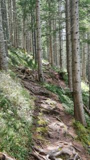 Thalerkogel Abbildung 18