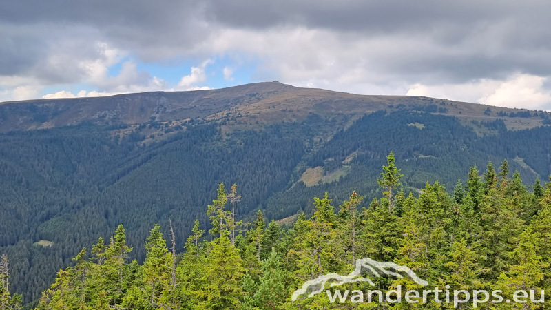 Großer Pfaff Abbildung 13