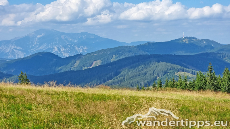 Großer Pfaff Abbildung 5