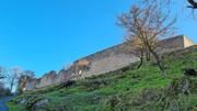 Braunsberg/Schlossberg Abbildung 7