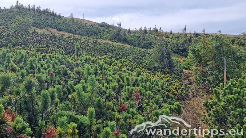 Stuhleck von Osten Abbildung 10