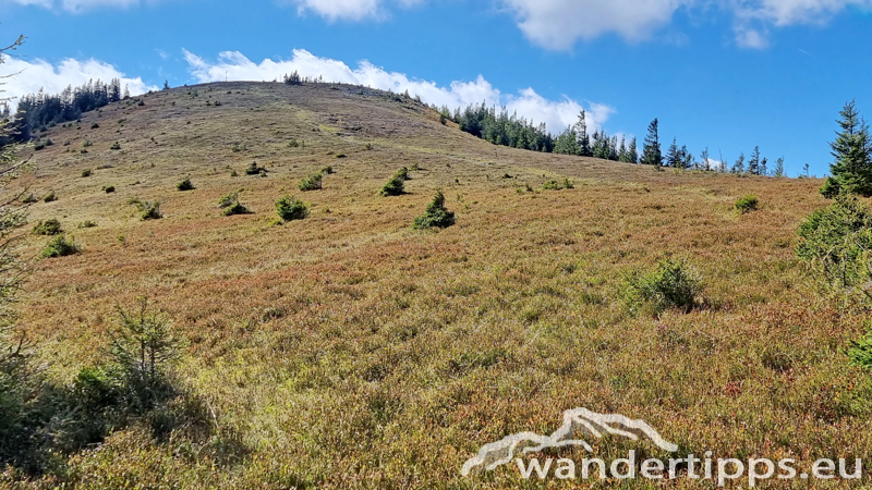 Fensteralpe Abbildung 11