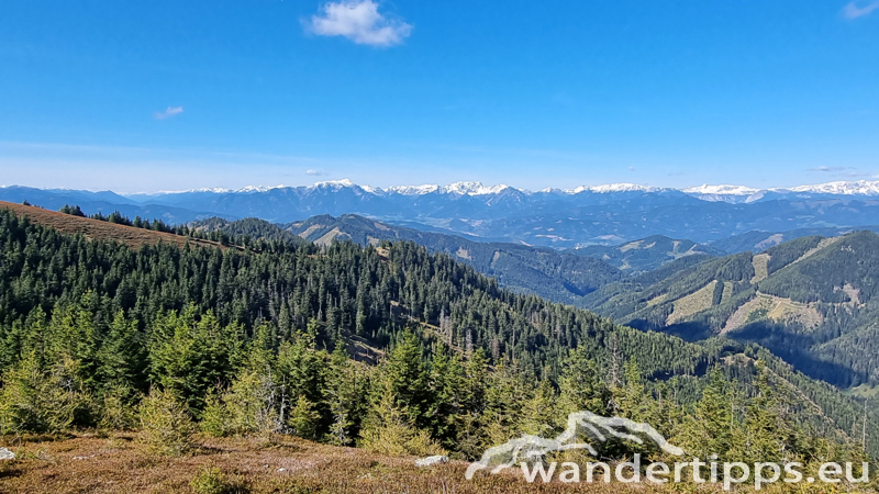 Fensteralpe Abbildung 13