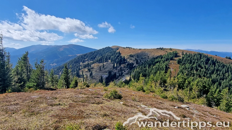 Fensteralpe Abbildung 15