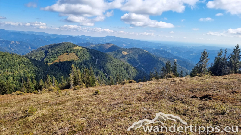 Fensteralpe Abbildung 16