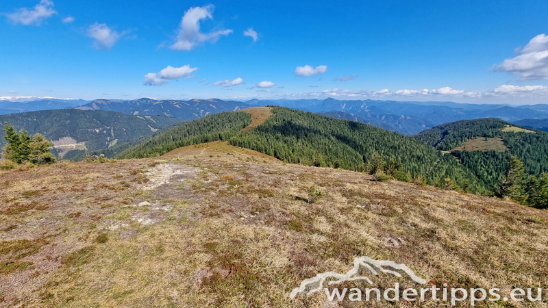 Fensteralpe Abbildung 17