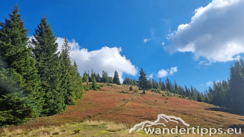 Fensteralpe Abbildung 18