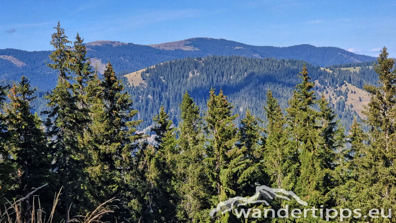 Fensteralpe Abbildung 20