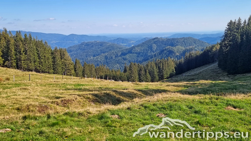 Fensteralpe Abbildung 21