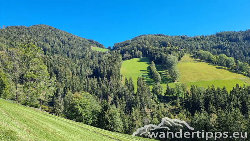 Fensteralpe Abbildung 4