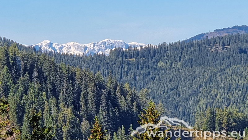 Fensteralpe Abbildung 8